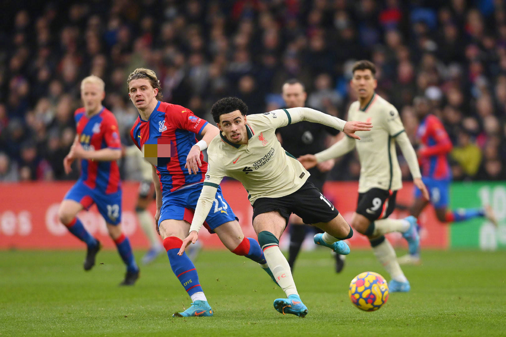 王钰栋的一 王钰栋的一