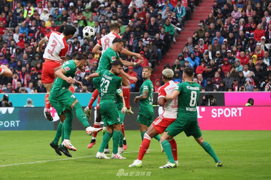 的名字几乎 的名字几乎